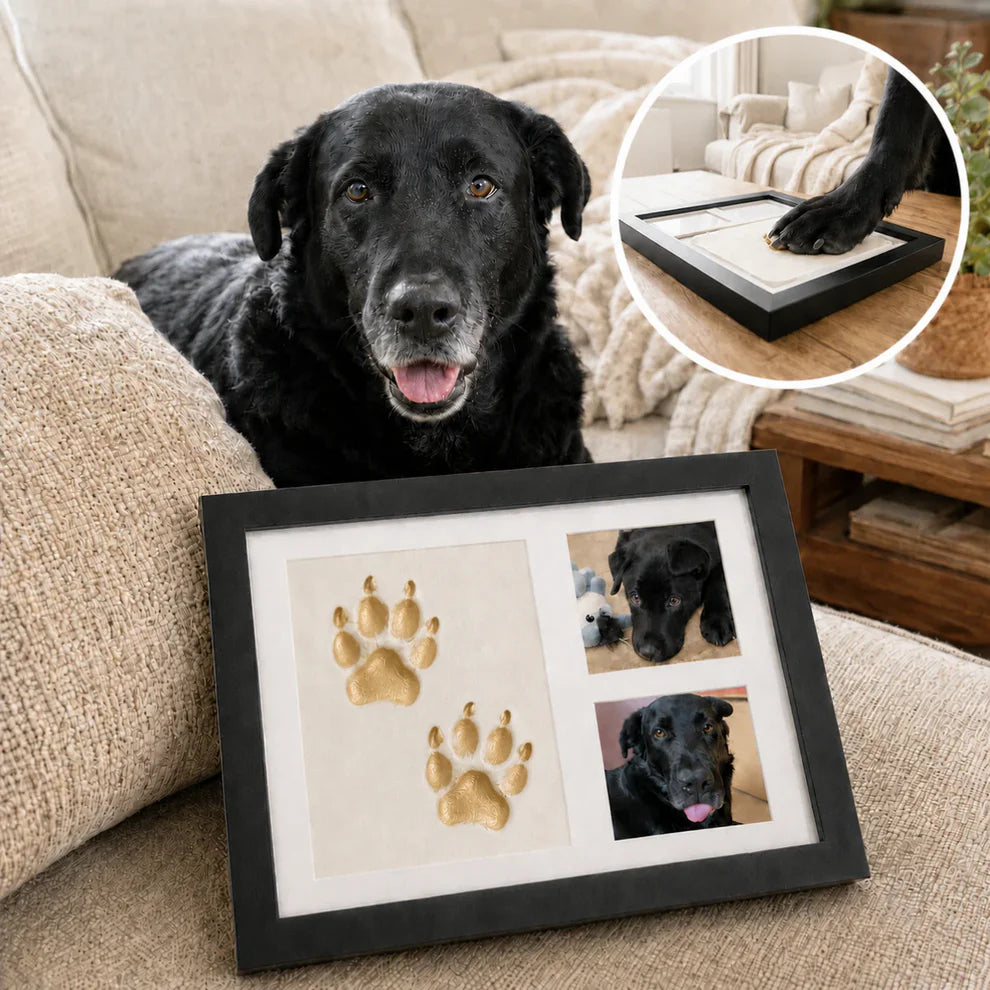 Furever Pawtraits Clay Kit