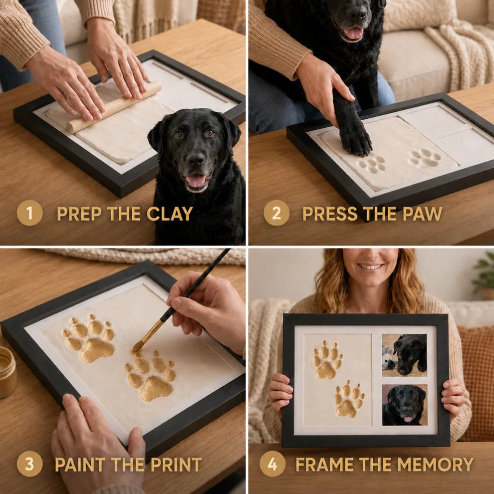 Furever Pawtraits Clay Kit
